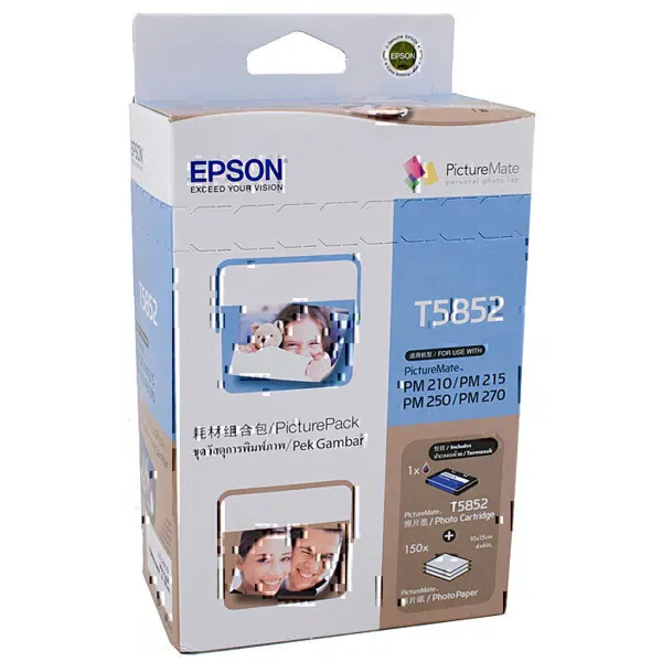 Epson T585 Picturemate Ink Cartridge C13T585290