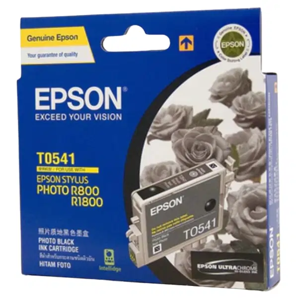 Epson T0541 Photo Black Ink Cartridge C13T054190