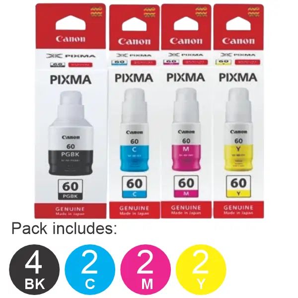 10 Pack – GI60 (4BK,2C,2M,2Y) Ink Bottles