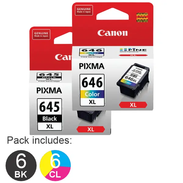 12 Pack – Canon 6 x PG645XL & 6 x CL646XL High Yield Ink Cartridges