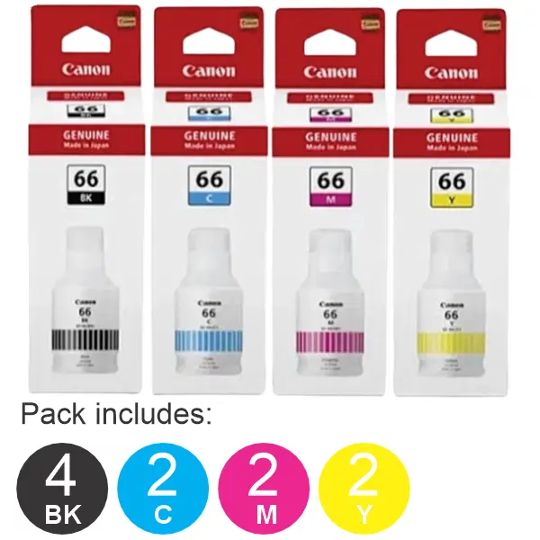 10 Pack – GI66 (4BK,2C,2M,2Y) Ink Bottle