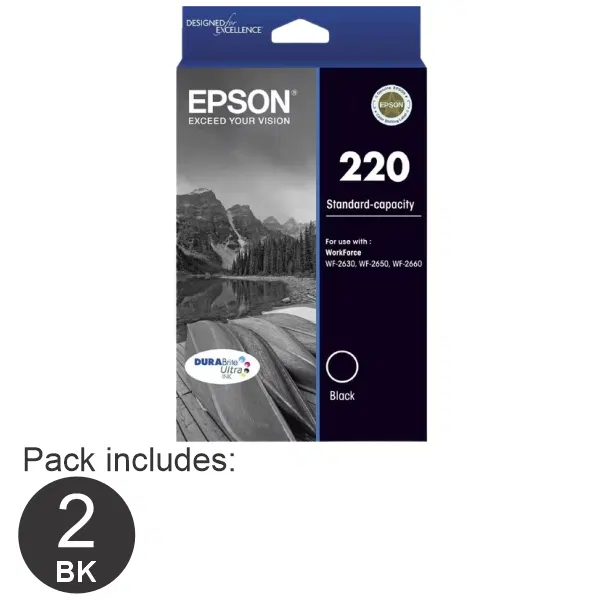 2 x Epson 220 Black Ink Cartridge C13T293192