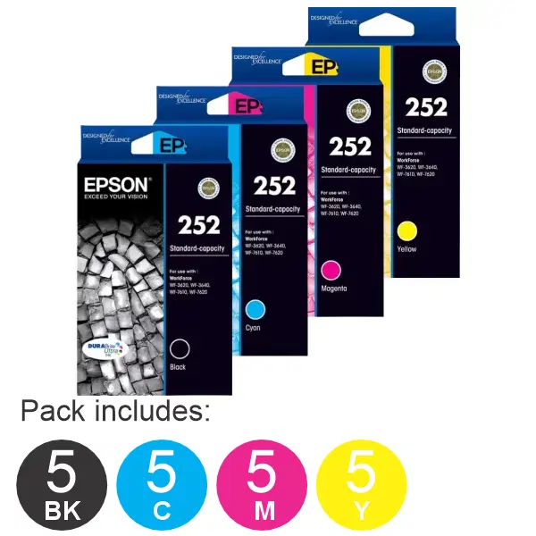 20 Pack - Epson 252 (5BK,5C,5M,5Y) Ink Cartridges